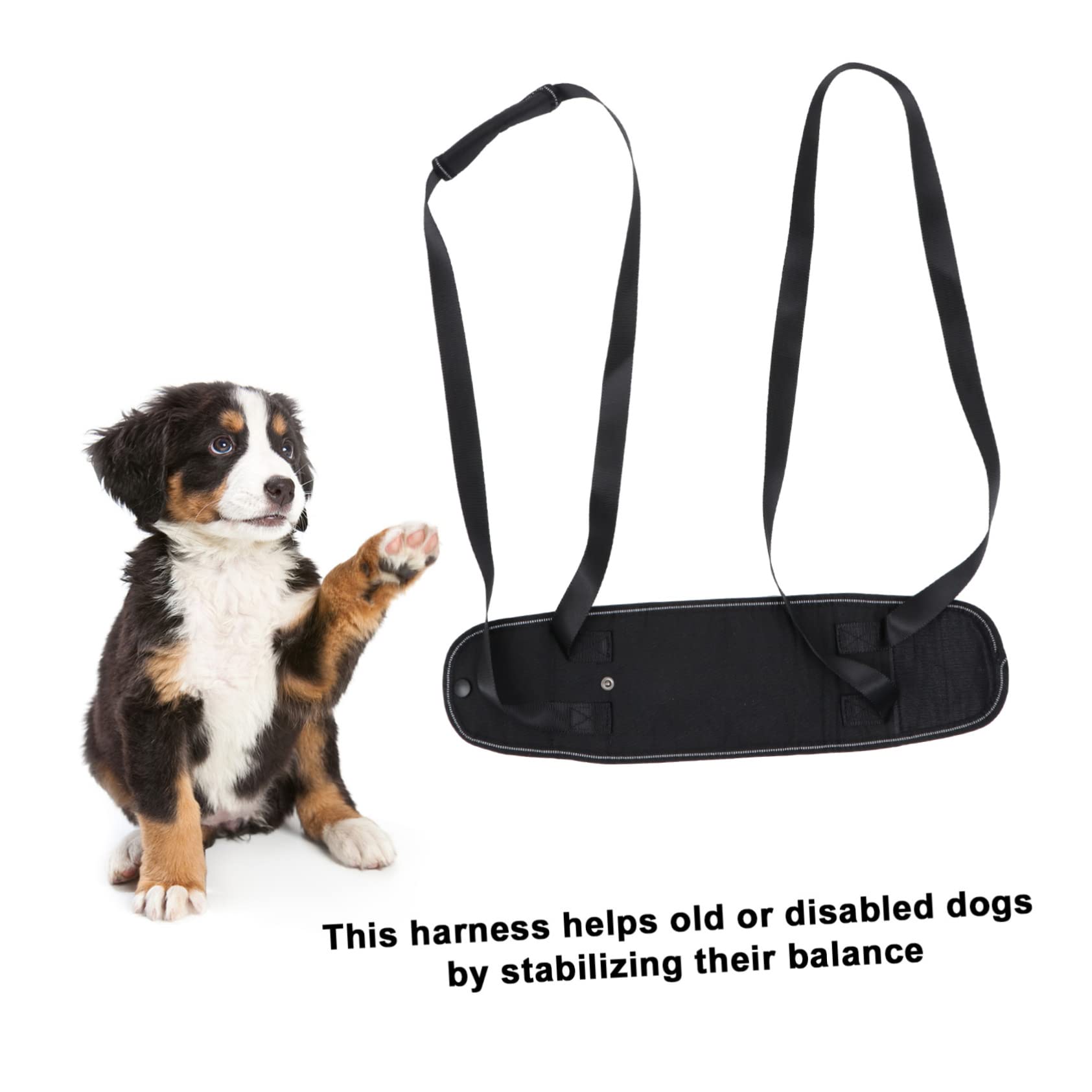 Kisangel 3stücke Portable Dog Support Für Hunde Einstellbares Pet Support Geschirr Für Outdoor Aktivitäten Zur Unterstützung Bei Mobilitätseinschränkungen Und Beim Treppensteigen
