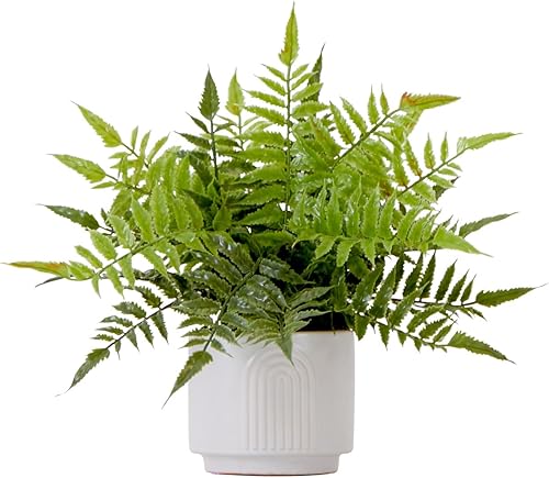 Nearly Natural Planta artificial de helecho Boston de 13 pulgadas con maceta decorativa