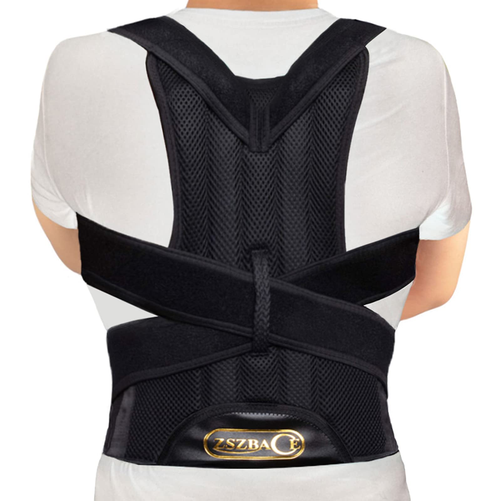 back belt for posture