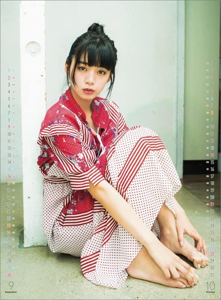 【未開封】池田エライザ カレンダー2018 サイン入り レア 新品未開封 池田エライザ カレンダー 2018