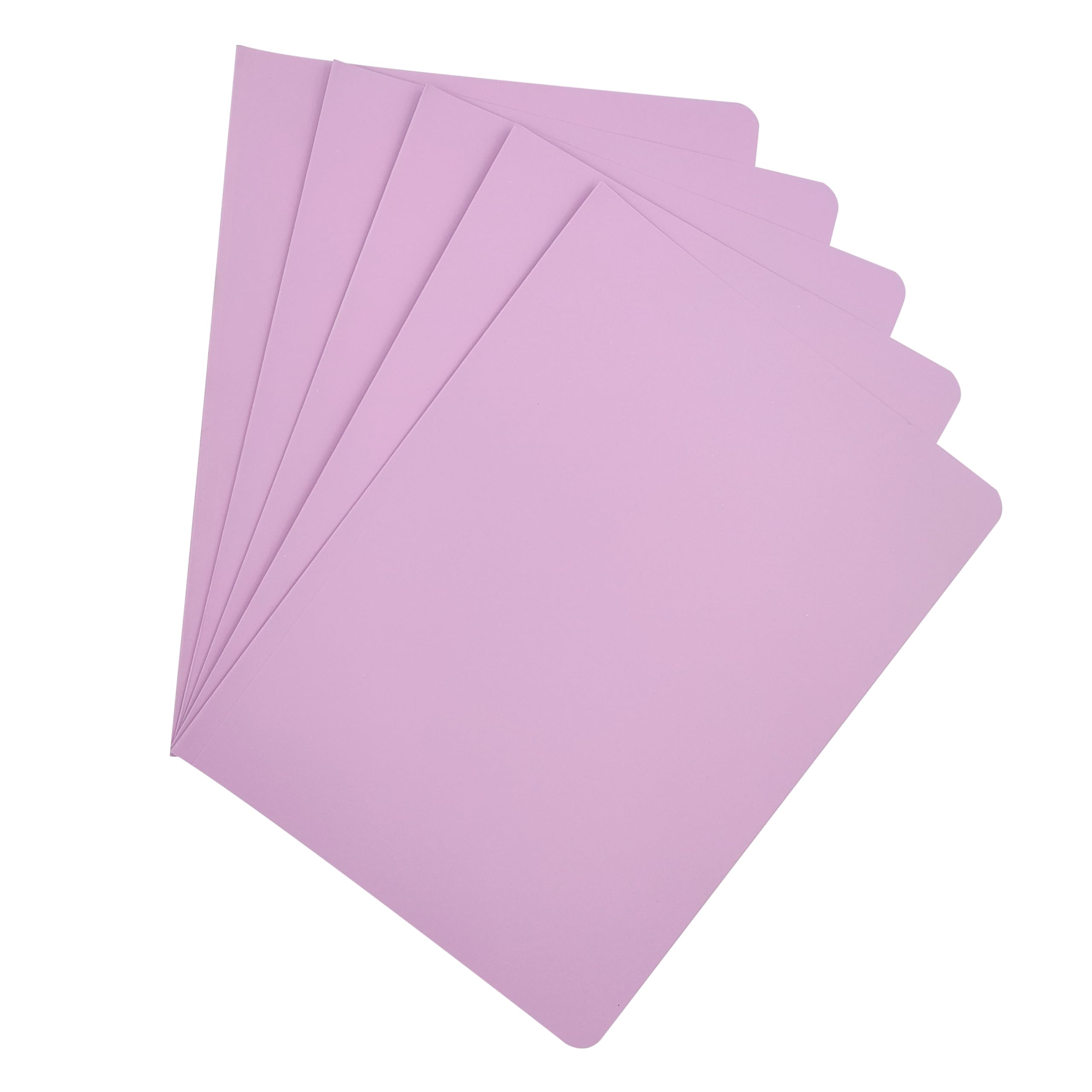 Raylu Paper® - Pack of 25 Cardboard Subfolders with Faster Holes and Vivid Colours, 200g Thick Kraft Cardboard Folders (Purple, A4)