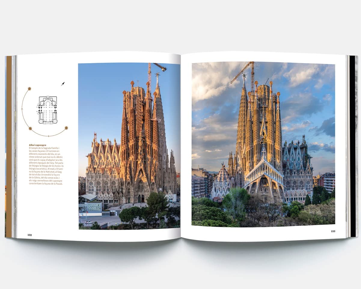 The Sagrada Familia: The Cathedral of light