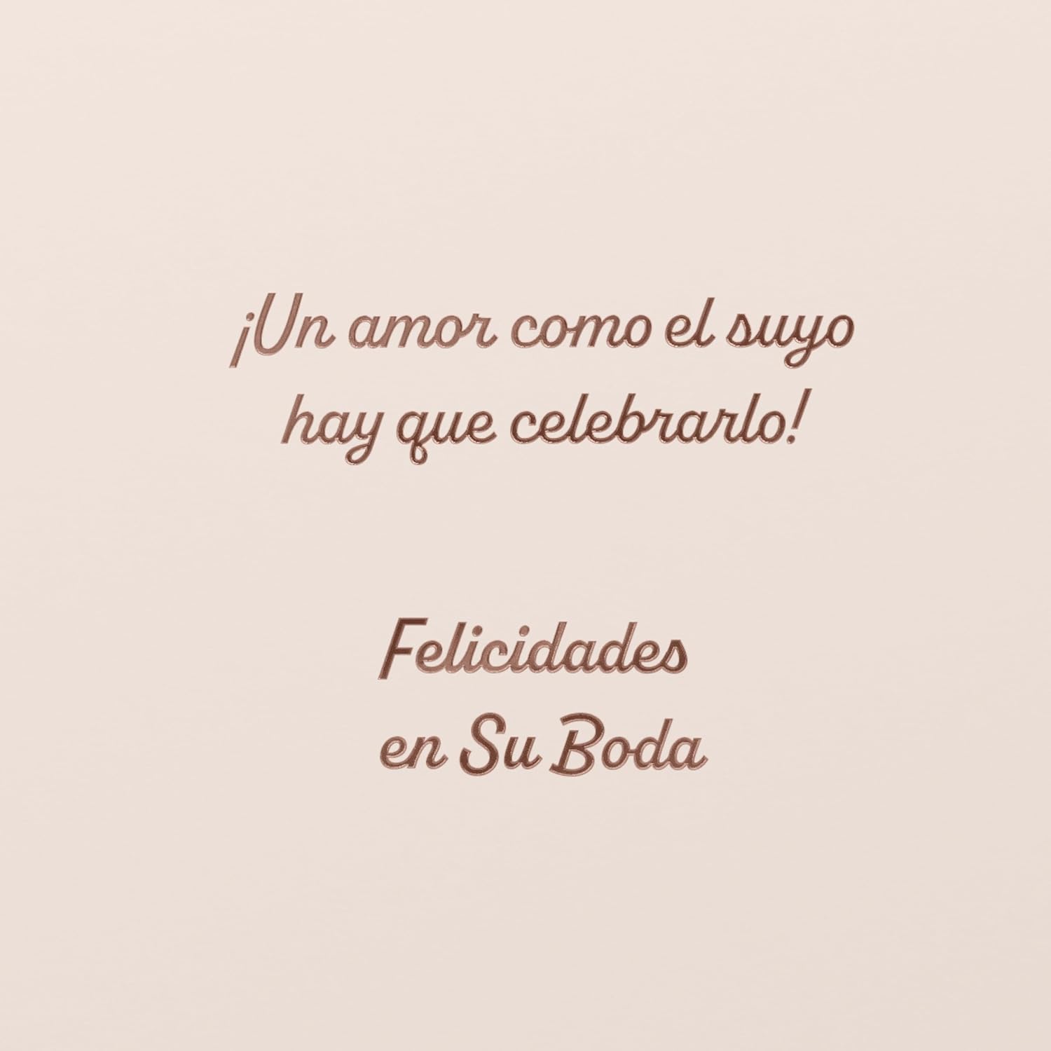 American Greetings Spanish Wedding Card (Felicidades en Su Boda)
