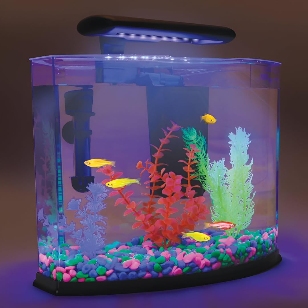 Luminous Stones - Glow in the Dark Pebbles -6