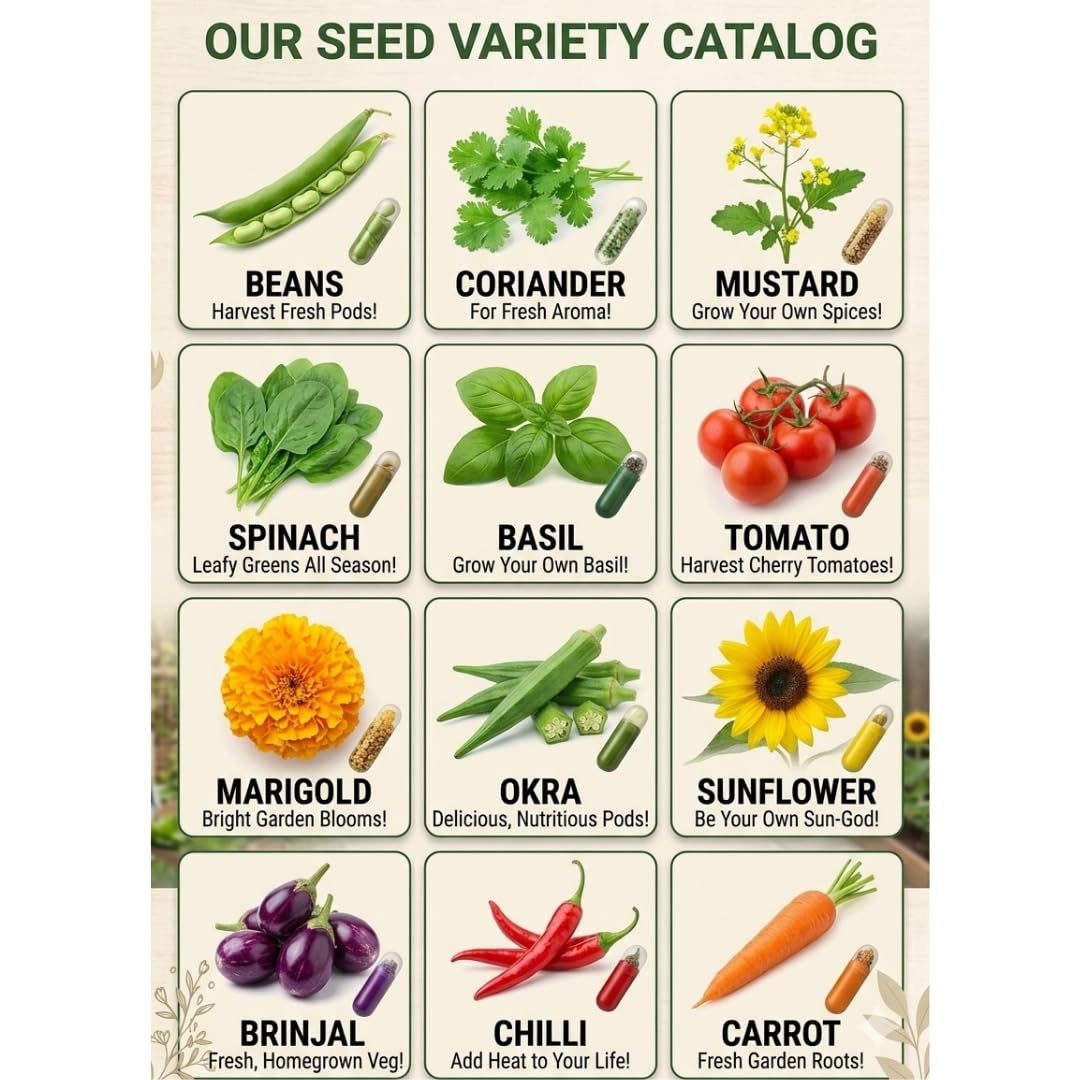 Saphirre Seeds Plantable Pencils with Seeds| Pack of 20| Plantable Pencils with Herbs & Vegetable Seeds| Eco Friendly Grow Pencil| Return Gifts| Plantable Seed Pencils| Black Graphite Pencil 2
