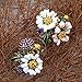 Szxc Women's Daisy Flower Leaves Mushroom Hypoallergenic Stud Earrings - Enamel & Crystals - 4/5 Inch - Ultra Light - White Asymmetric