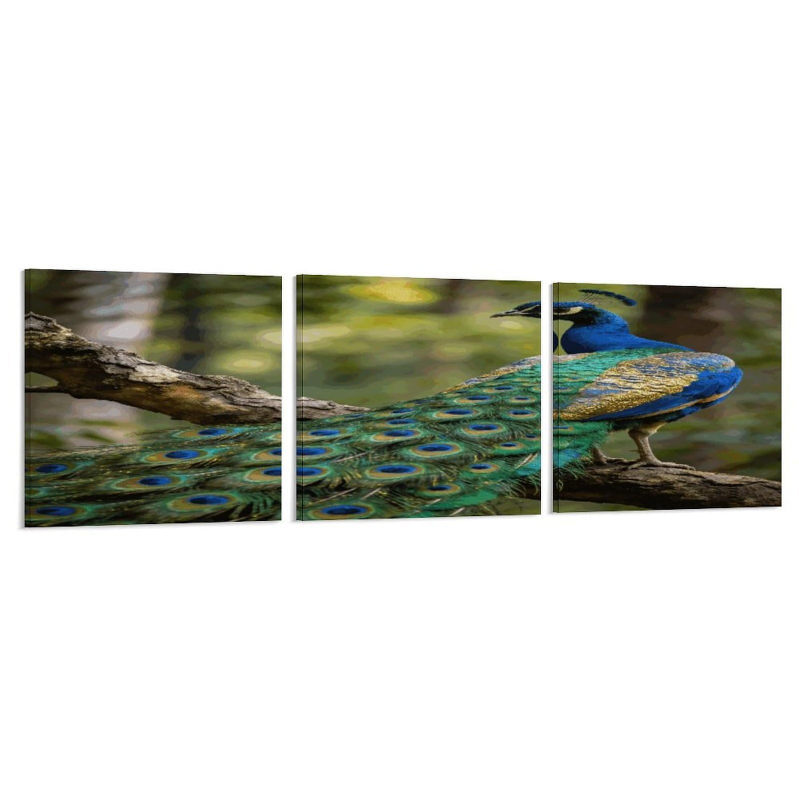 Khauerbc Style Set Of 3 Colorful Peacock On A Tree Branch Wall Art，Paintings Artwork For Living Room, Hallway, Bedroom, Office Wall Decor For Living Room, Hallway, Bedroom, Office Paintings Artwork 8X8 Inch
