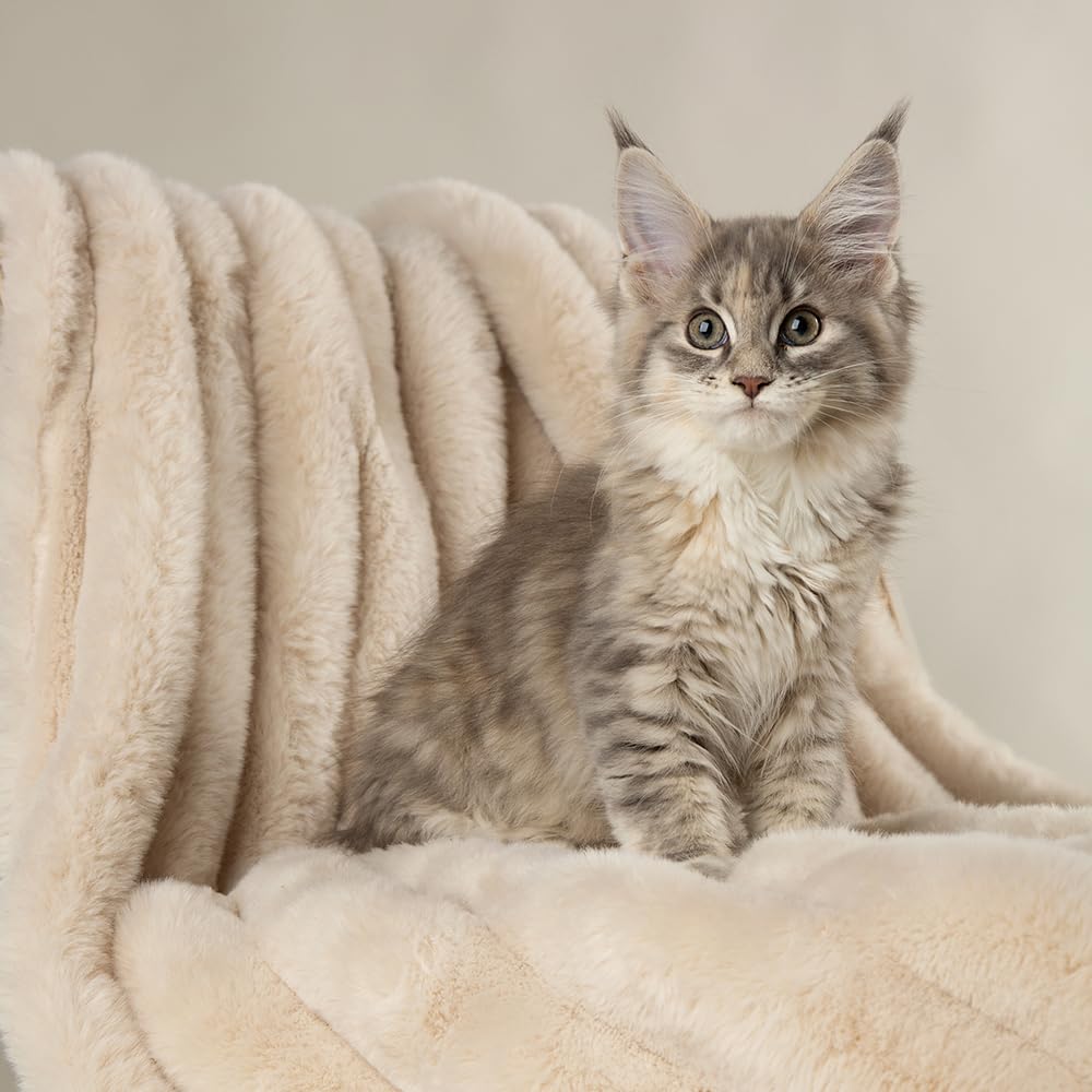Scruffs Aspen Pet Blanket