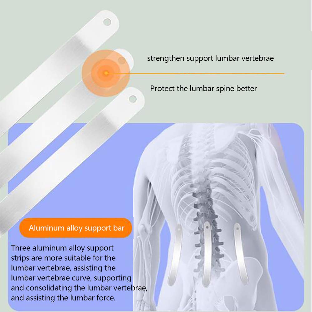 Faja Lumbar Fitness, cinturón de Cintura con calefacción eléctrica, para Hernia de Disco, ciática, escoliosis, estenosis espinal, con Almohadilla Lumbar extraíble,L
