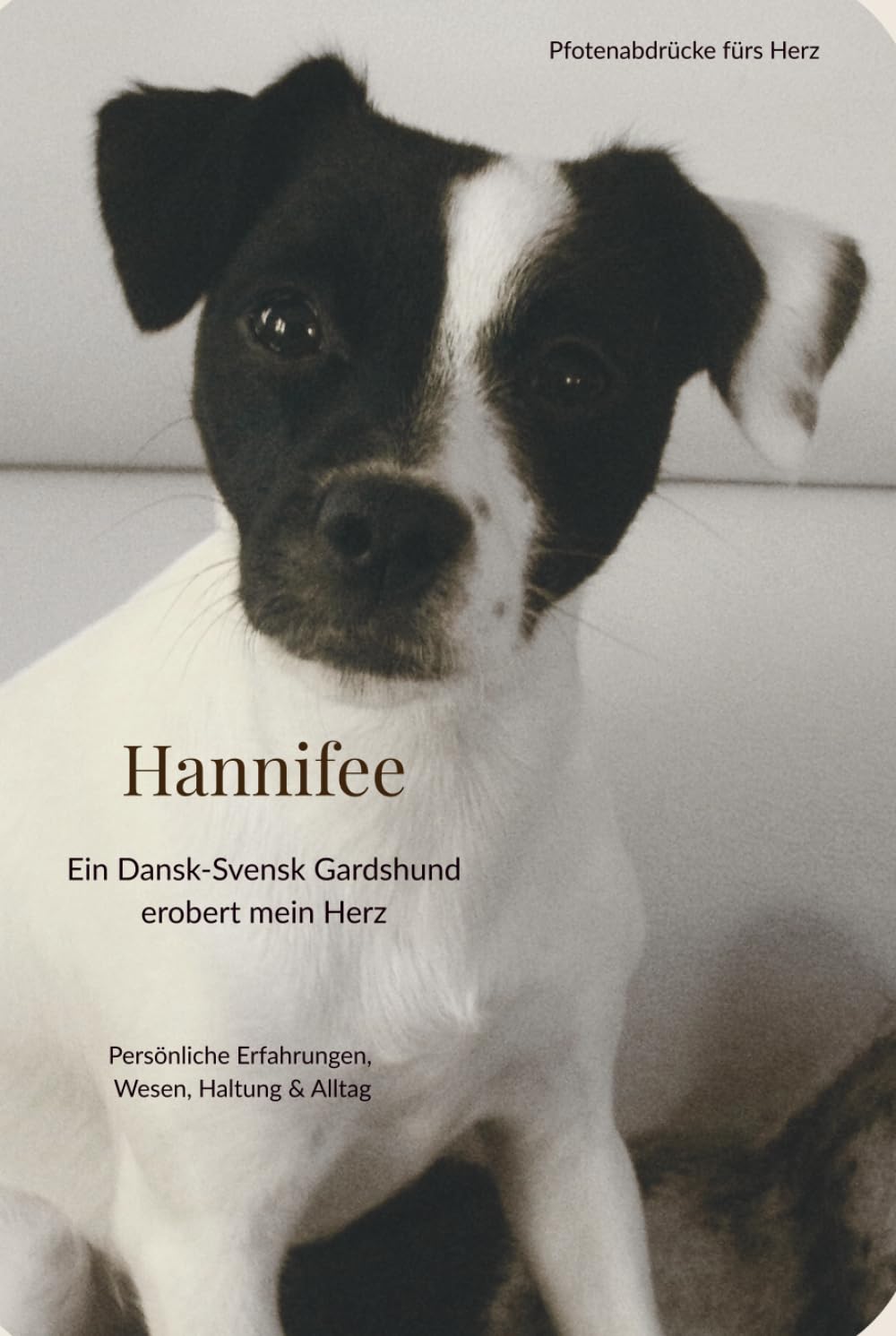 Hannifee: ein Dansky erobert mein Herz.