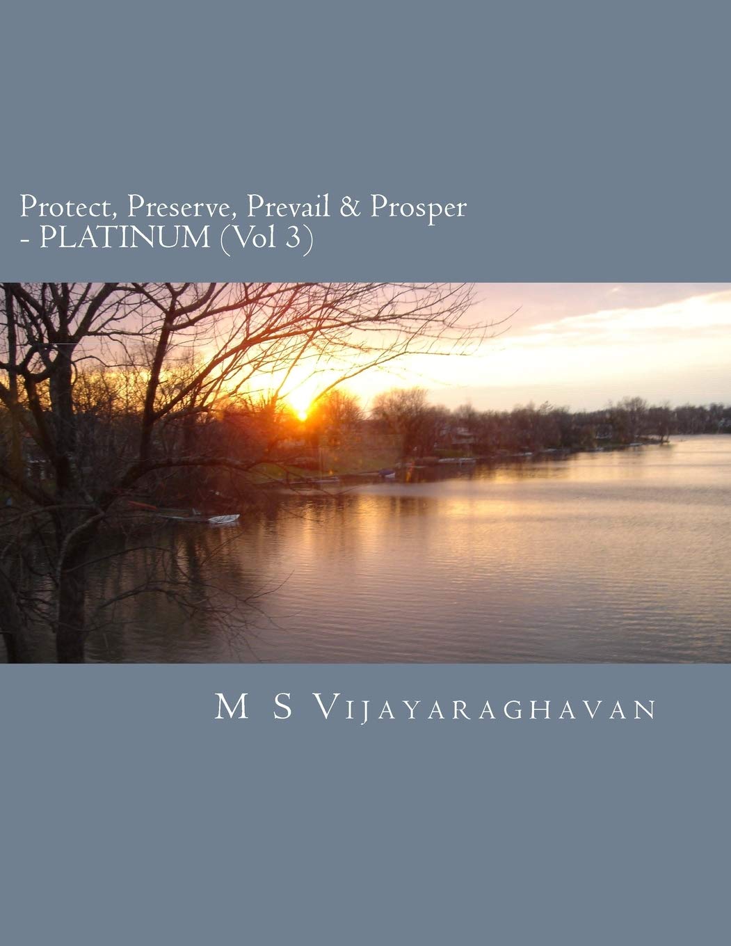 Protect, Preserve, Prevail and Prosper - PLATINUM (Vol 3): Business Protection Compendium from Disasters