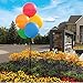 Balloon Bobber - Weatherproof Reusable Paneled Balloon Cluster Pole Kit - Helium Free Plastic Outdoor Balloons
