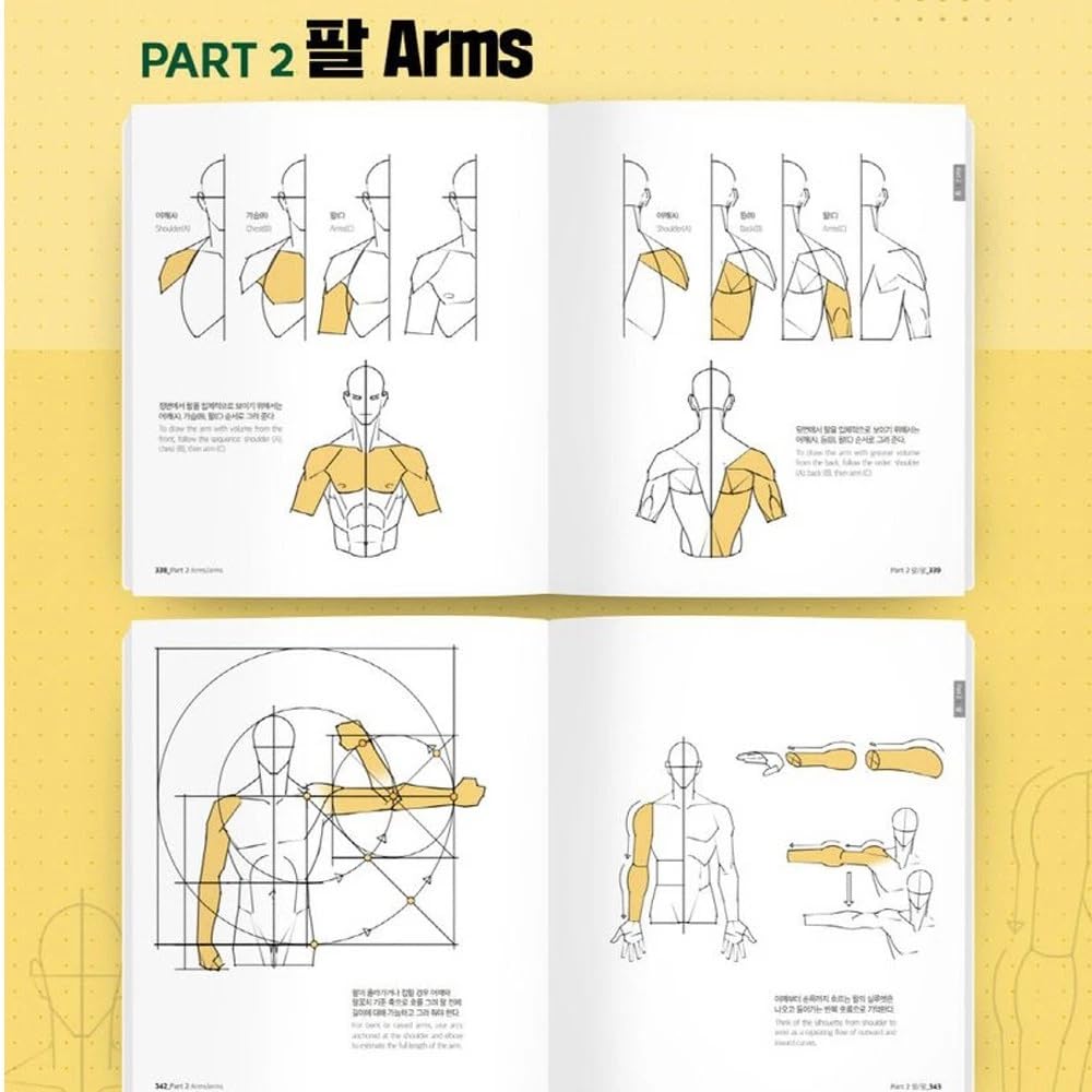 Point Character Drawing 2 de Taco | Libro coreano de anatomía manga | Inglés Sub