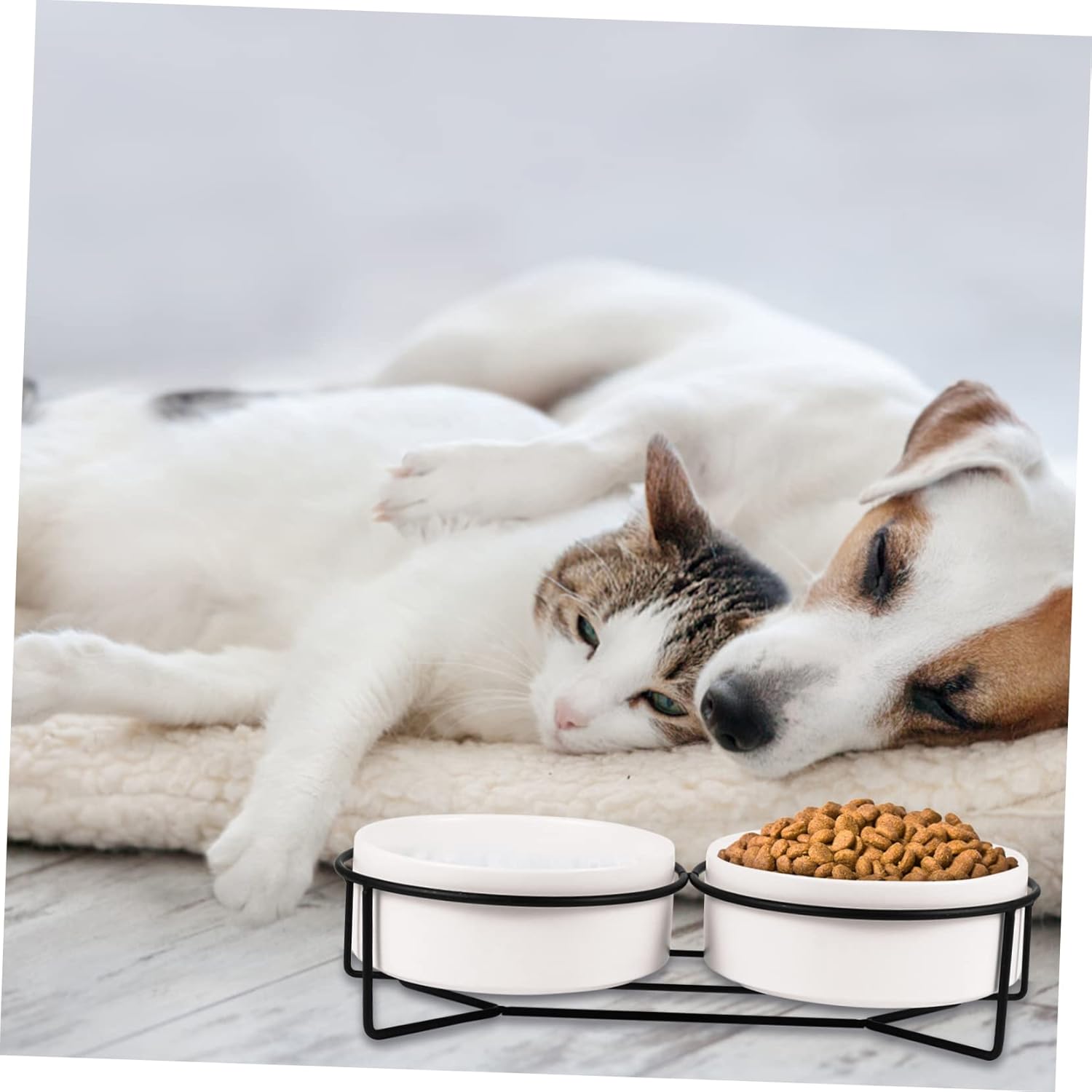 SUPVOX 1set Double Pet Bowls Stand Non- Feeders for Food and Water Stable and Easy to Frame