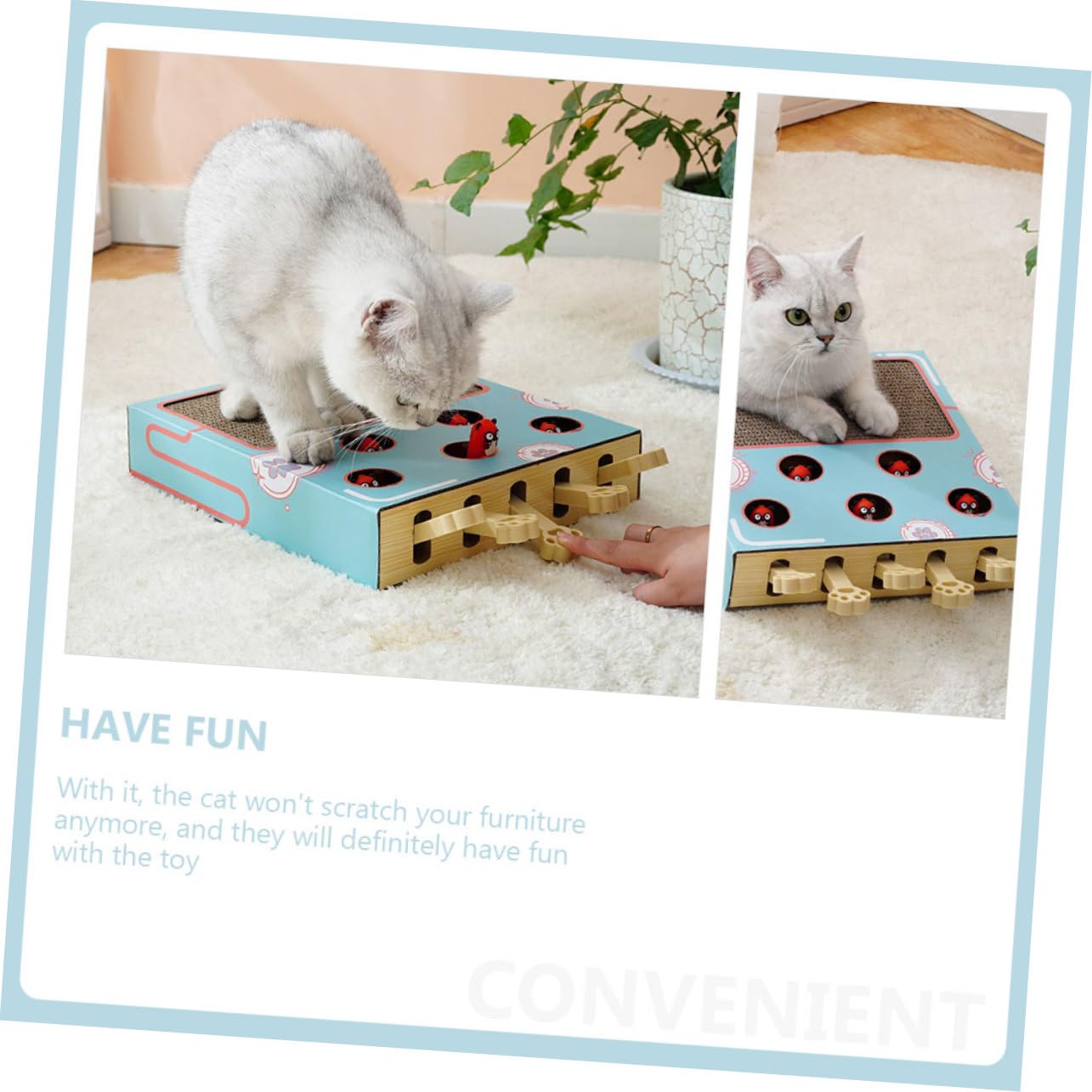 Katzenkratzspielzeug Mit Katzenfang-Maulwurf Fein Verarbeitet Aus Hochwertigem Material Robust Und Fördert Die Interaktion Und Bewegung Für Kätzchen