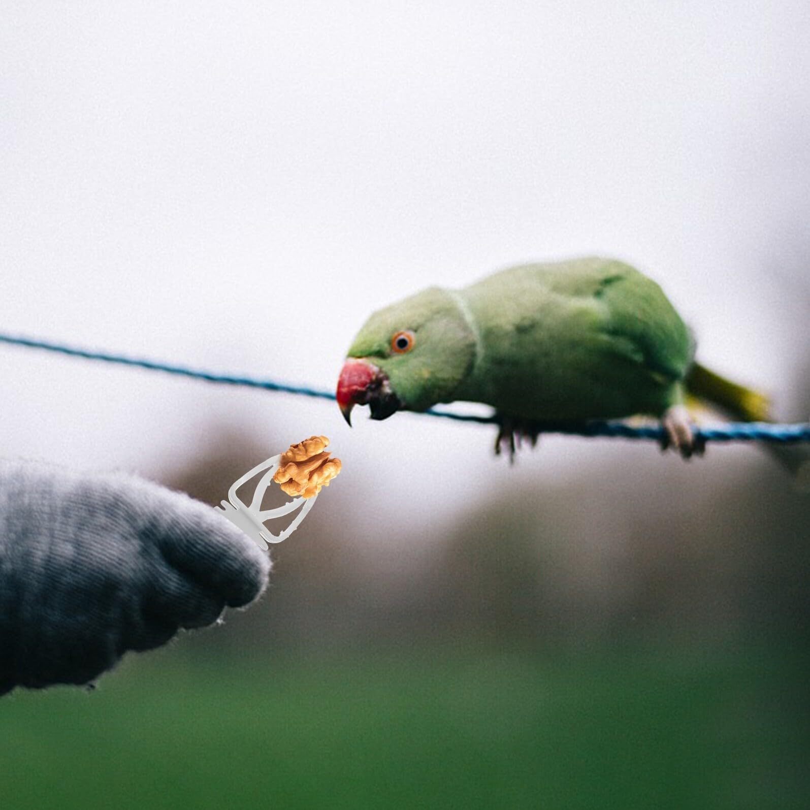 Pinzas para Sujetar Comida de Pájaros y Verduras, 10 Unidades, Plástico Duradero, Clips Prácticos para Jaulas de Aves, Accesorios para Alimentación de Loros y Periquitos en Jaula