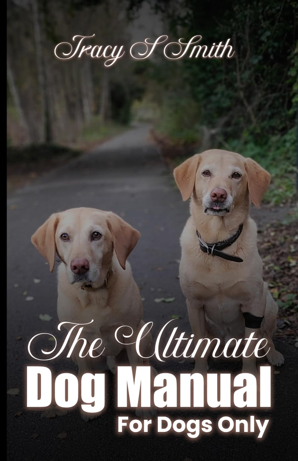 The Ultimate Dog Manual For Dogs Only: How to get along with your humans
