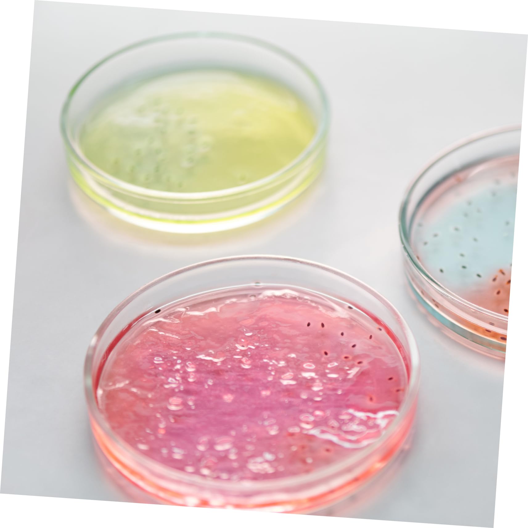 SOLUSTRE 15piezas Placas De De Transparentes Para De Dishes Redondos Resistentes Roturas Herramienta Para Experimentos Científicos y Docencia
