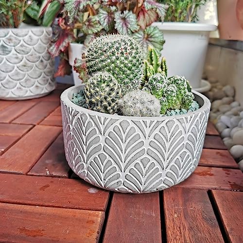Pot de plantation de plantes succulentes TUSUOD style scandinave - 4