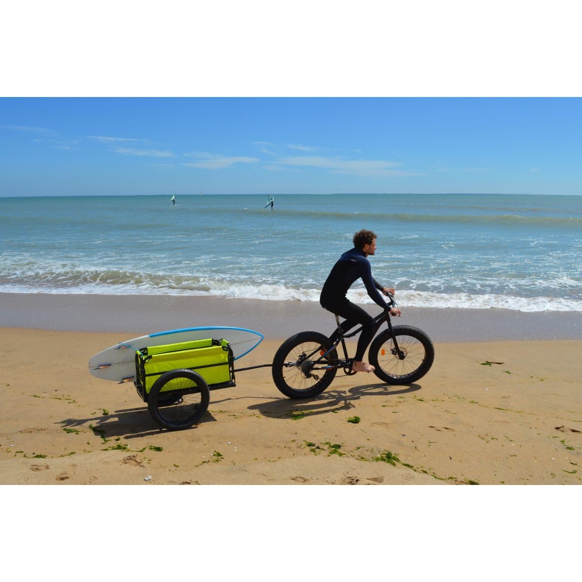 Remorque de Vélo Beach Aluminium Pliable 20" Roues Tout-Terrain Charge Max 60 kg Fixation sur Axe Roue