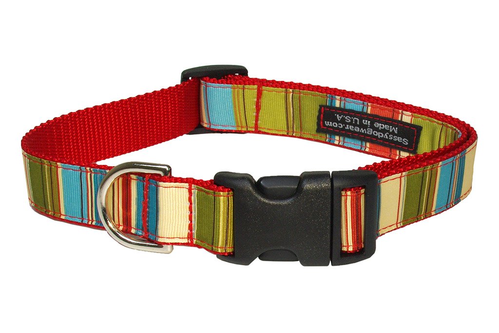 Small Red/Multi Stripe Dog Collar: 5/8