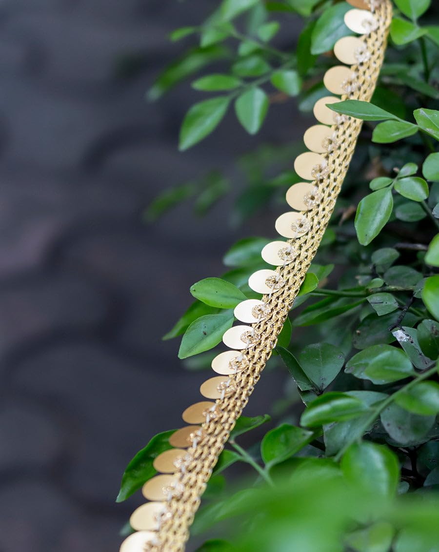 Lacesnmore Sequin Lace Golden Dupatta& Border Materials latkan Hanging jhallar,Sitara Laces and Border Materials latkan Lace, Golden Sitara Lace for Suit & Saree (16MTR) Light Gold