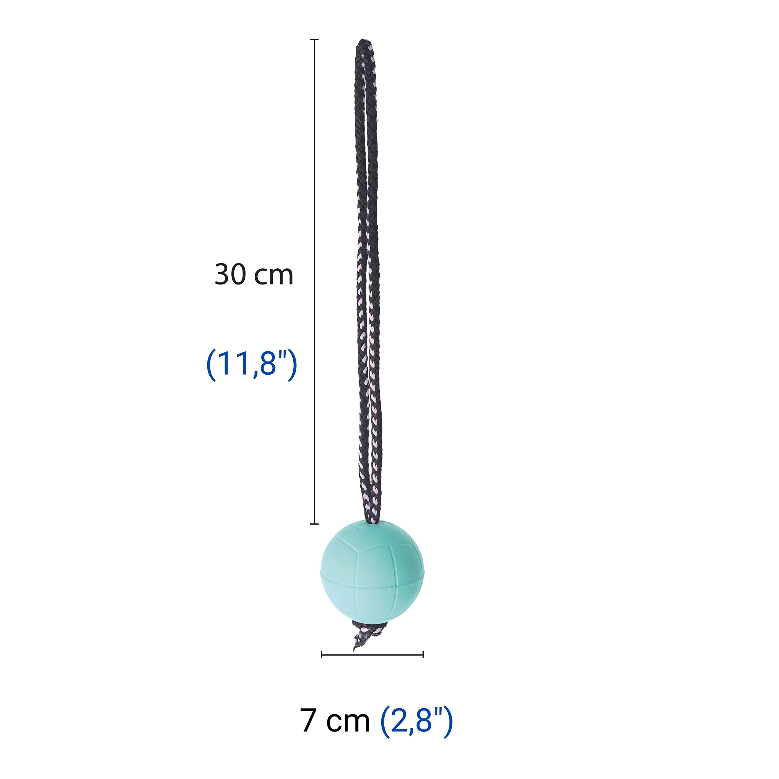 Dingo Bibi Ball for Training # 70 with Handle 30 cm Colour Mint Floating Ball Rubber Fetch Game with Dog 17250 - Image 2