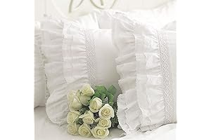 Queen's House White Embroidery Lace Pillow Cases, Standard Size Set of 2