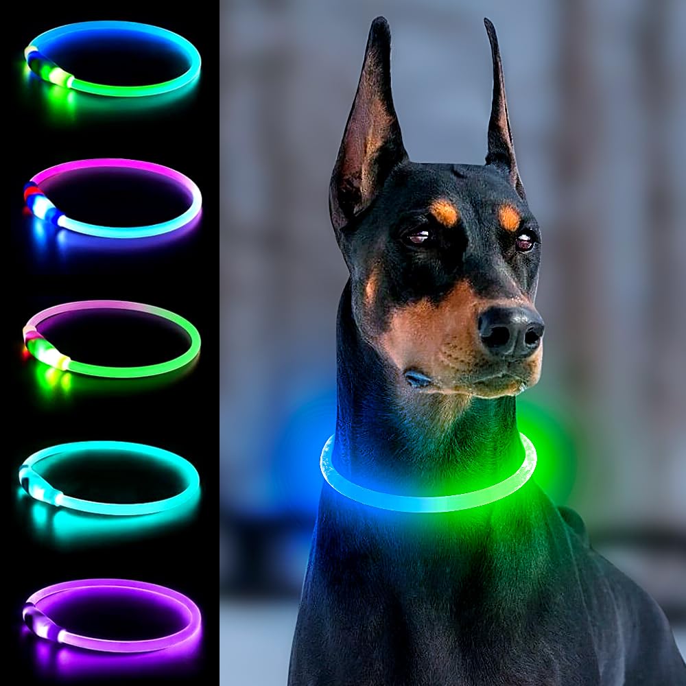 Collier lumineux pour chien - Imperméable - Rechargeable - LED - Réglable - Pour chiens de petite, moyenne et grande taille - Pour promener en toute sécurité la nuit (multicolore A)