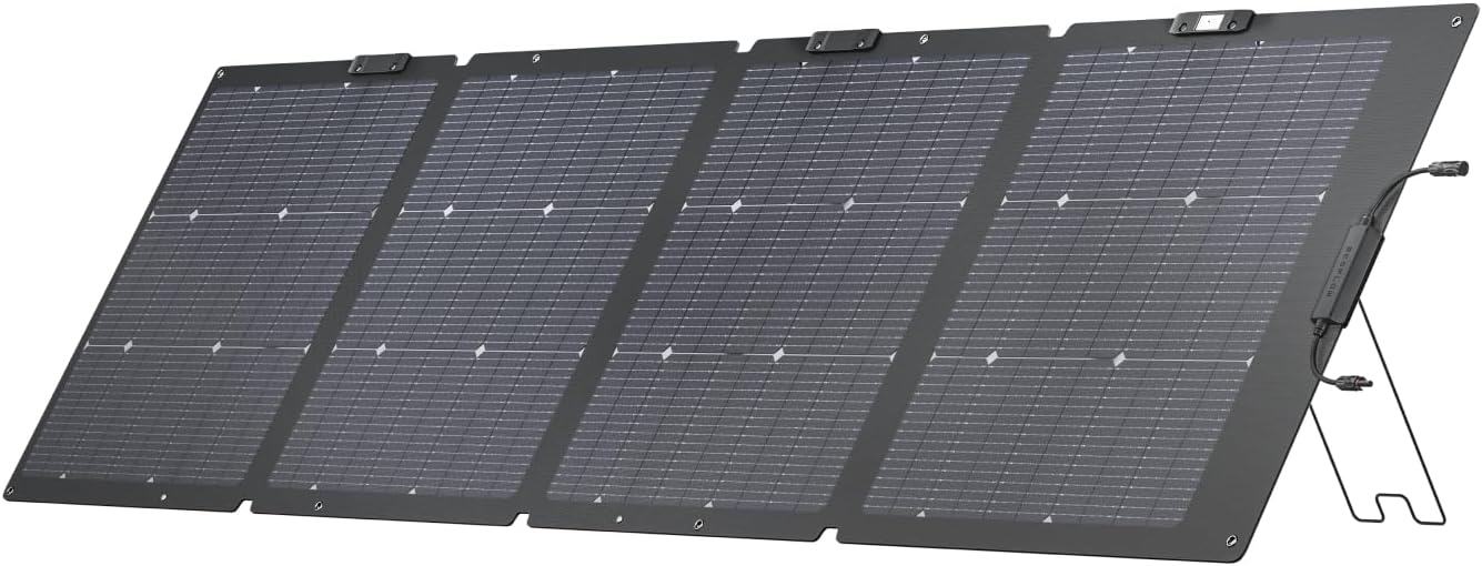 EcoFlow 220 W bifacial