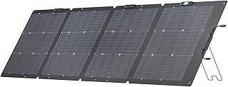 EF ECOFLOW Panneau solaire pliable 220 W pour station d'alimentation portable Delta Pro/Delta Max/Delta/Delta Mini - Module photovoltaïque - Pour extérieur, jardin, balcon, caravane, camping