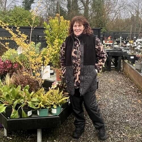 Spring is on the way