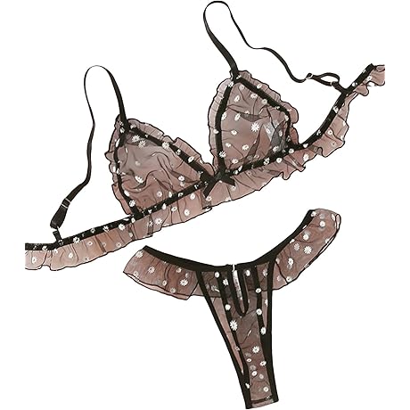 Shein Lacy Indulgence: Sheer Mesh Bra and Panty Set