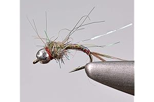 Tugnsten Bead Rainbow Warrior Midge Fly