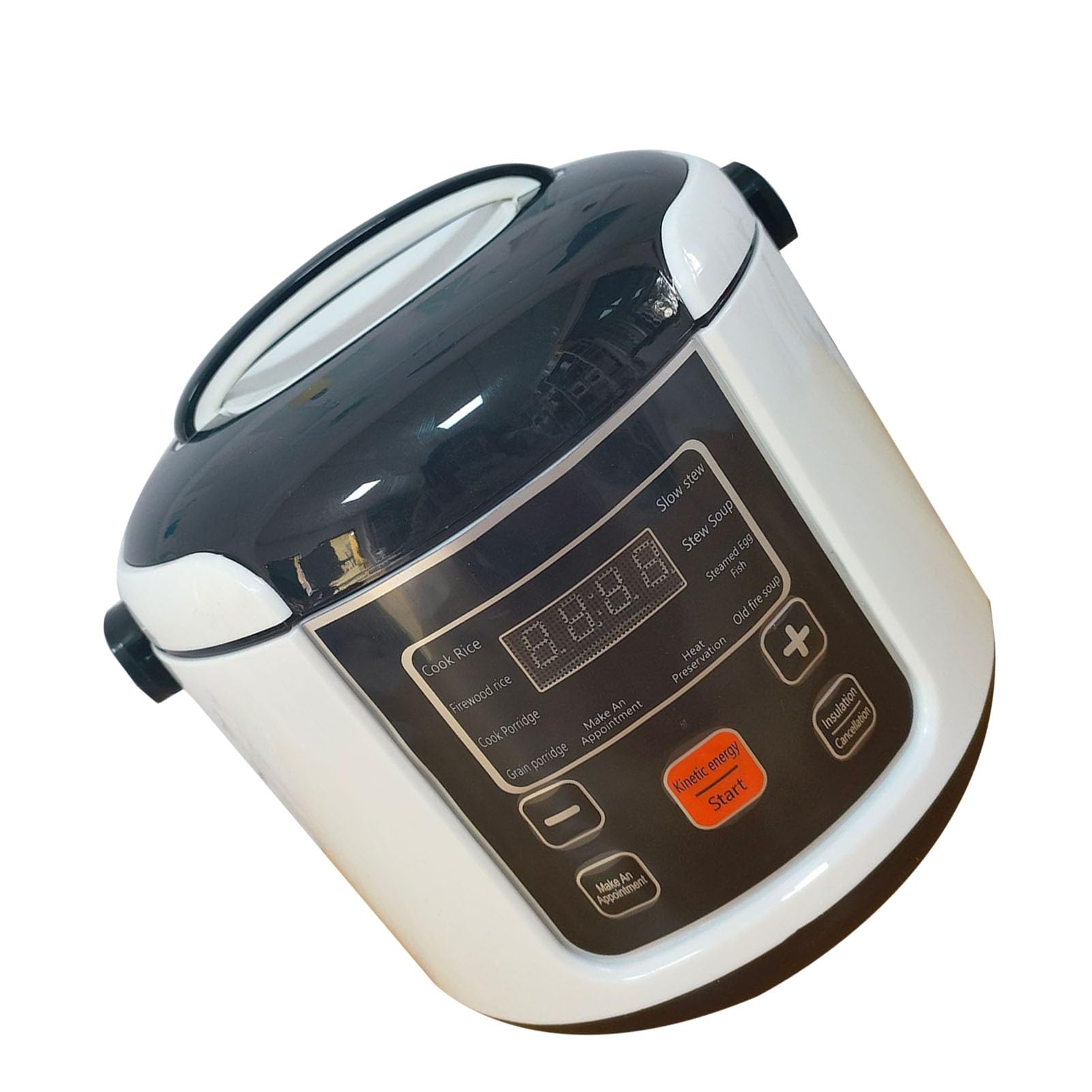 Respicefinem Mini Olla Arrocera Olla Arrocera Eléctrica Pequeña De 2 L con Función De Mantener Caliente para Viajes, Acampadas Y Uso Doméstico, Adecuada para 2 A 4 Personas, 24 V (24V)