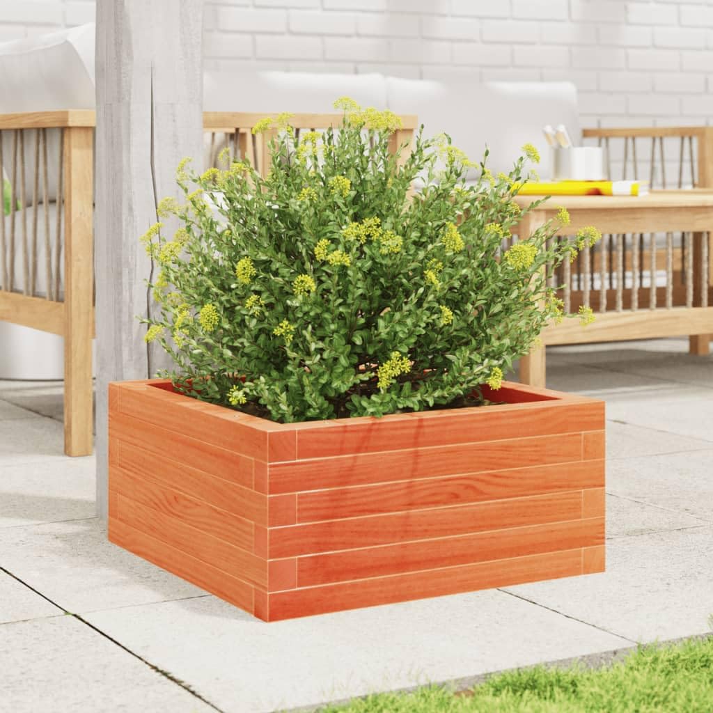 Macetero marrón cera de madera maciza de pino, 50 x 50 x 23 cm, maceta para jardín, terraza, balcón, alféizar de ventana, recipiente para plantas, hierbas, verduras, interior y exterior