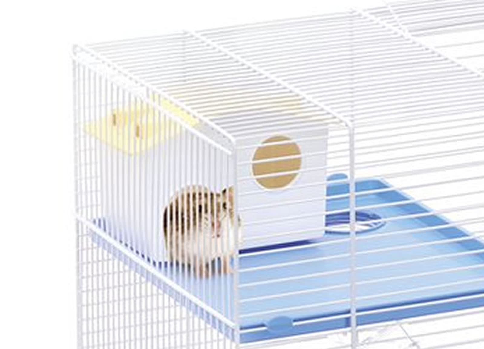 Imac Criceti 7
