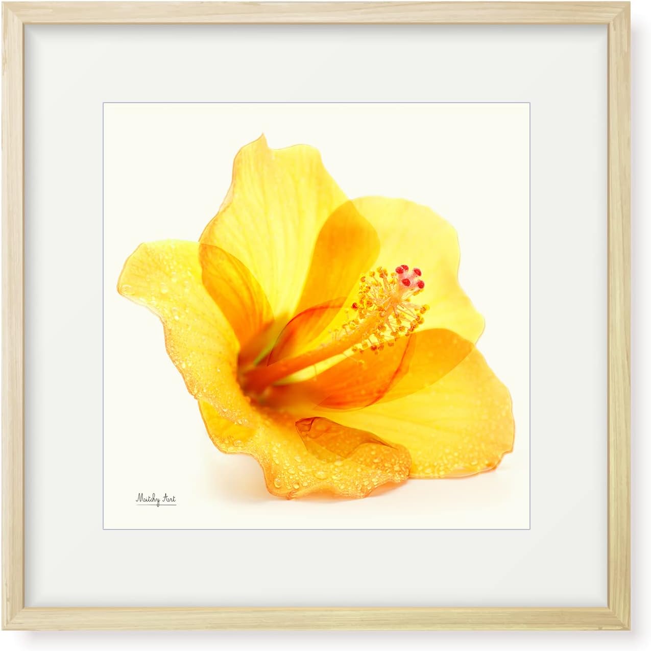 絵画「雨上がりのハイビスカス」インテリア 絵 花 アートパネル 額入り