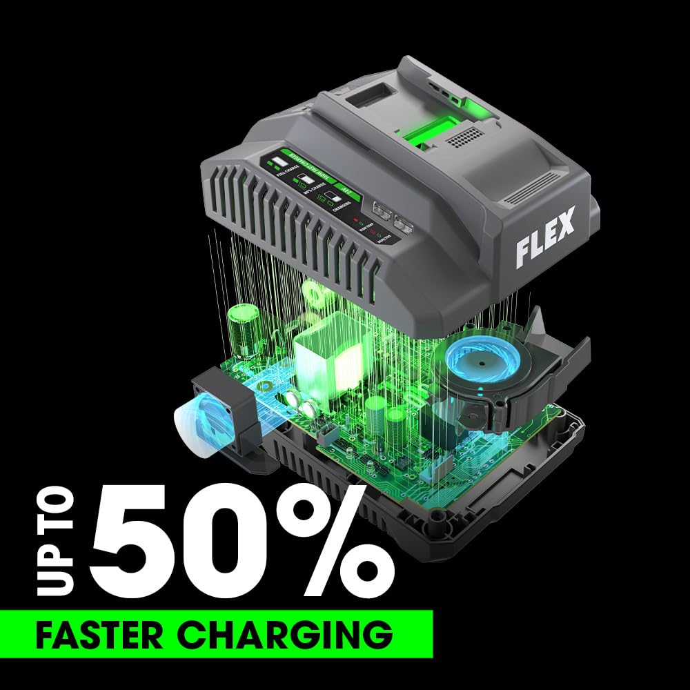 Amazon.com: FLEX 24V 160W Lithium-Ion Battery Fast Charger