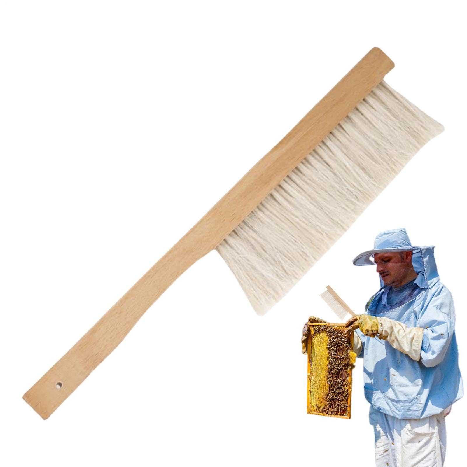 Brosse d'apiculture | 40 x 7,6 x 1 cm | Outil de Nettoyage de Ruche avec poignée en Bois Naturel en CRIN de Cheval pour Hommes, Femmes, débutants