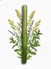 Puffiair Herbal Diffuser Pen, Portable Aromatherapy Inhaler Lavender Mint Guarana Watermelon Extracts, Natural Energy Boost, Sleep Support, Relaxation, Respiratory Comfort & Oral Freshening (Mint)