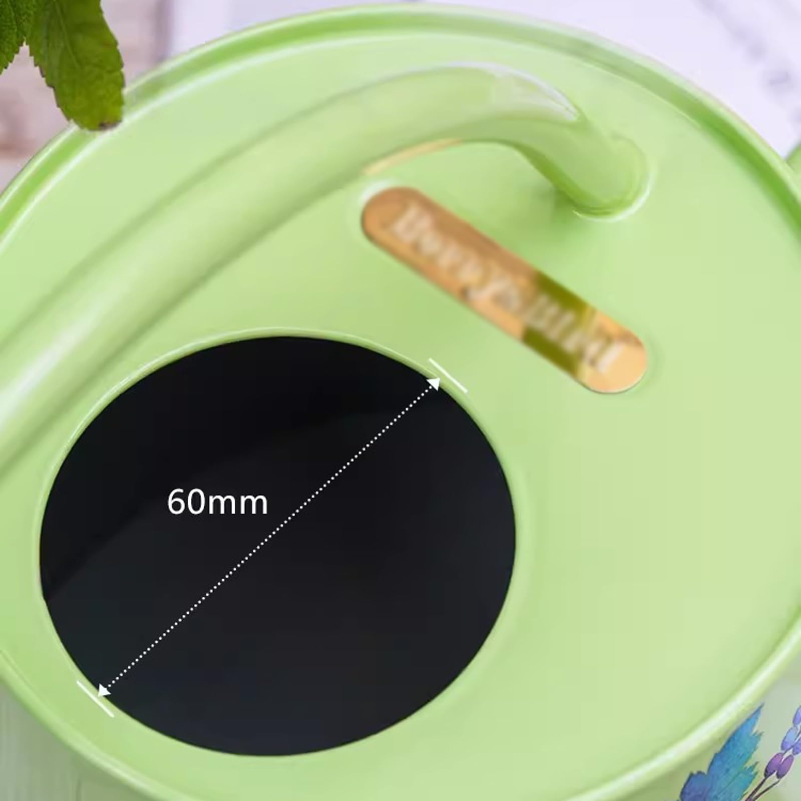 Arrosoir 2L Arrosoir en Acier Inoxydable, Intérieur Extérieur for Plantes d'intérieur Long Bec Canette d'eau for Bonsaï Succulent Fleur de Jardin pulvérisateur de Jardin