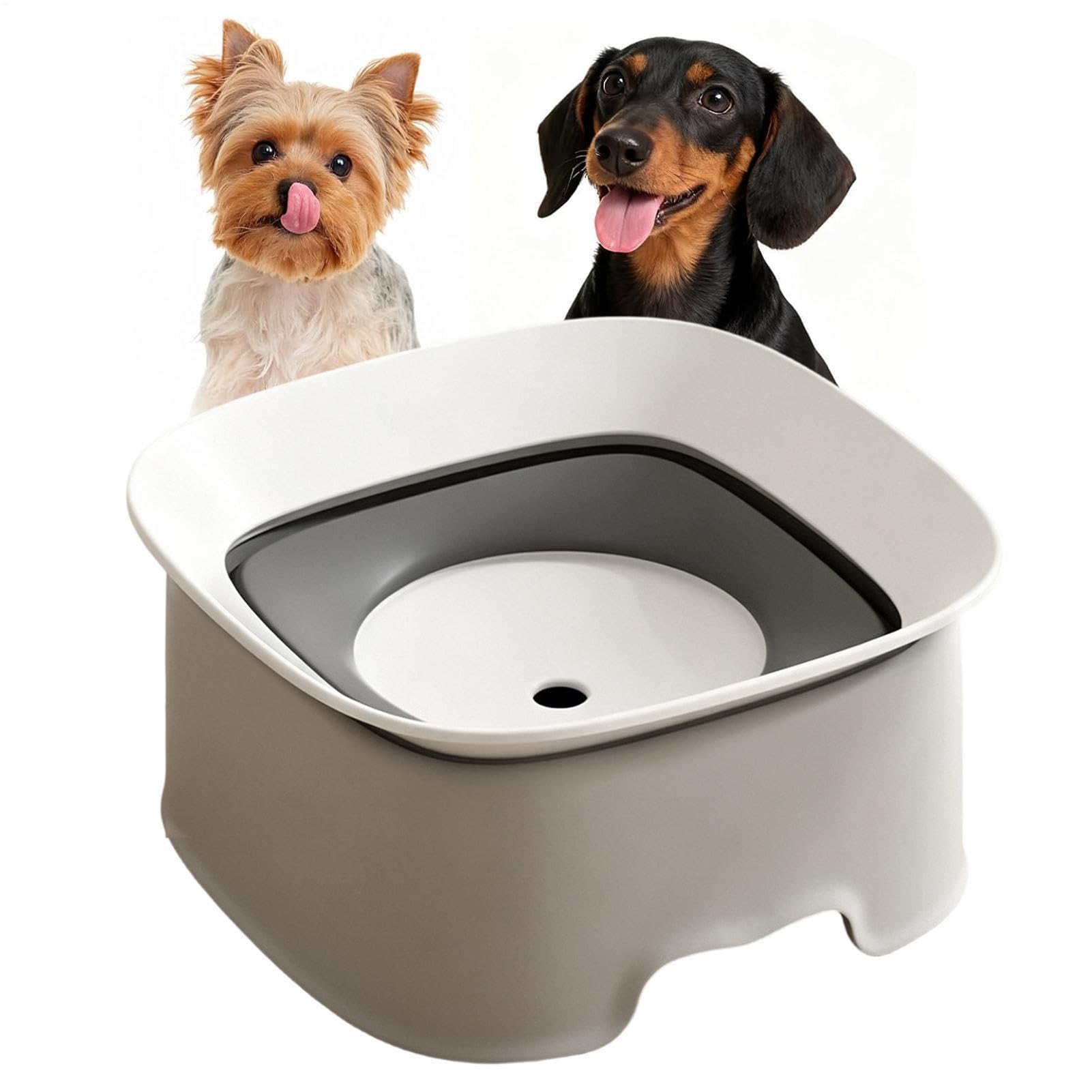 Gamelle d'eau anti-éclaboussures pour chien distributeur eau lente maison