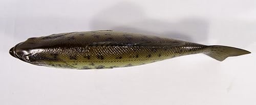 Miniatura 4 de Star International Estatua de pie pintada a mano con gran boca, pez lubino, 12 pulgadas, color rojo