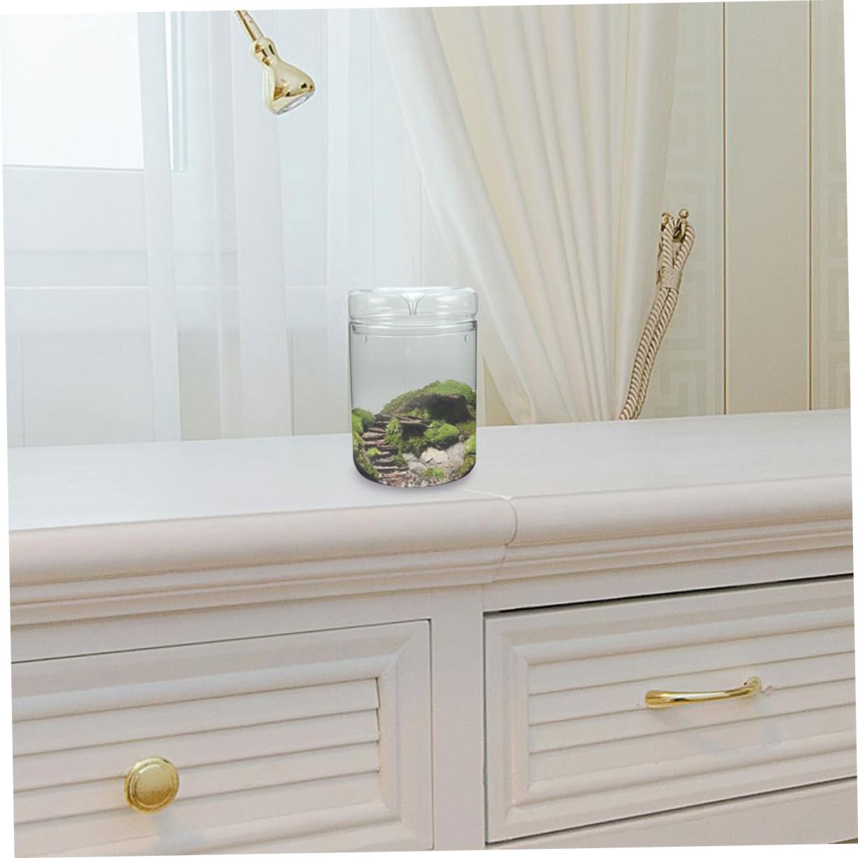 Levemolo Terrario Trasparente Per Piante Succulente Landscape Bottle Per Decorazione Ufficio e Casa Design Artistico Per Floricoltura e Hobby Di Giardinaggio