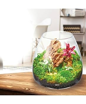 アクアリウム Amazon | 形状お任せ 風山石 MLサイズ（約15～20cm） 1