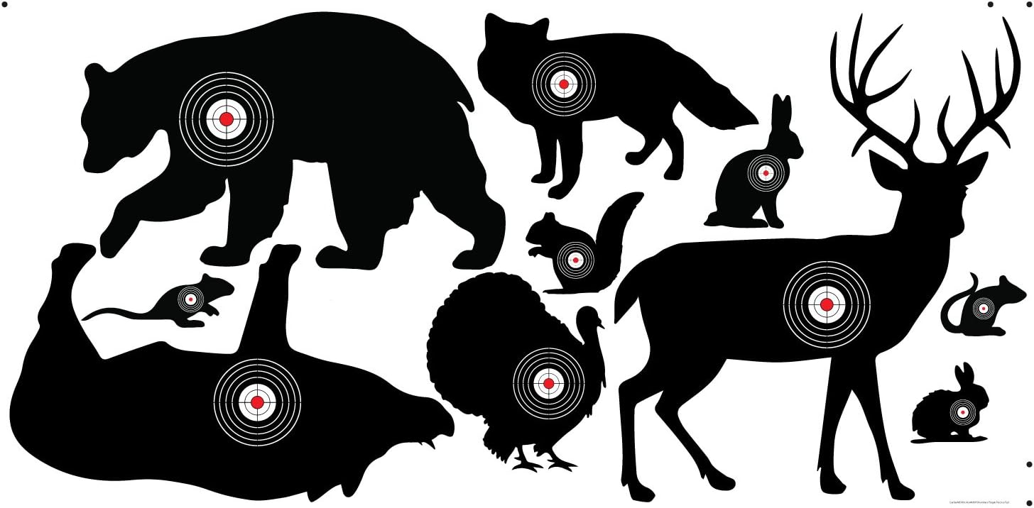 VictoryStore Outdoor Shooting and Archery Practice Targets - 10 Animal Targets for Practice Shooting and Bowhunters - Great Targets for Kid's Dart Guns