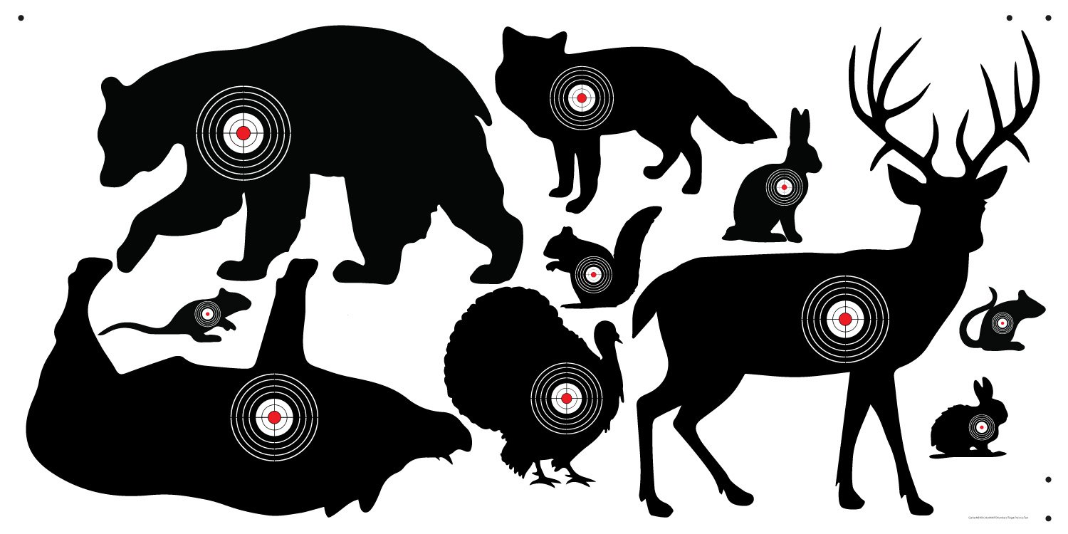VictoryStore Outdoor Shooting and Archery Practice Targets - 10 Animal Targets for Practice Shooting and Bowhunters - Great Targets for Kid's Dart Guns