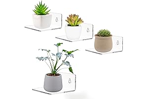 Miniature Multipurpose Modern Adhesive Wall Shelf, a must-have for Contemporary Décor