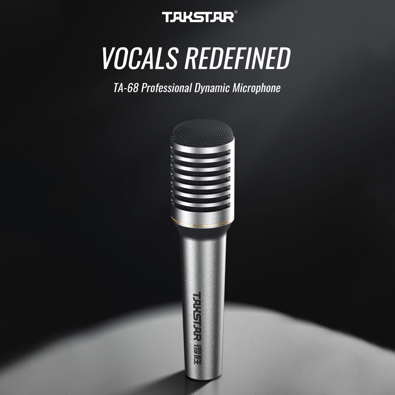 まいくたん sE Electronics V7｜ミュージックランドKEY